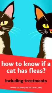 How to know if a cat has fleas